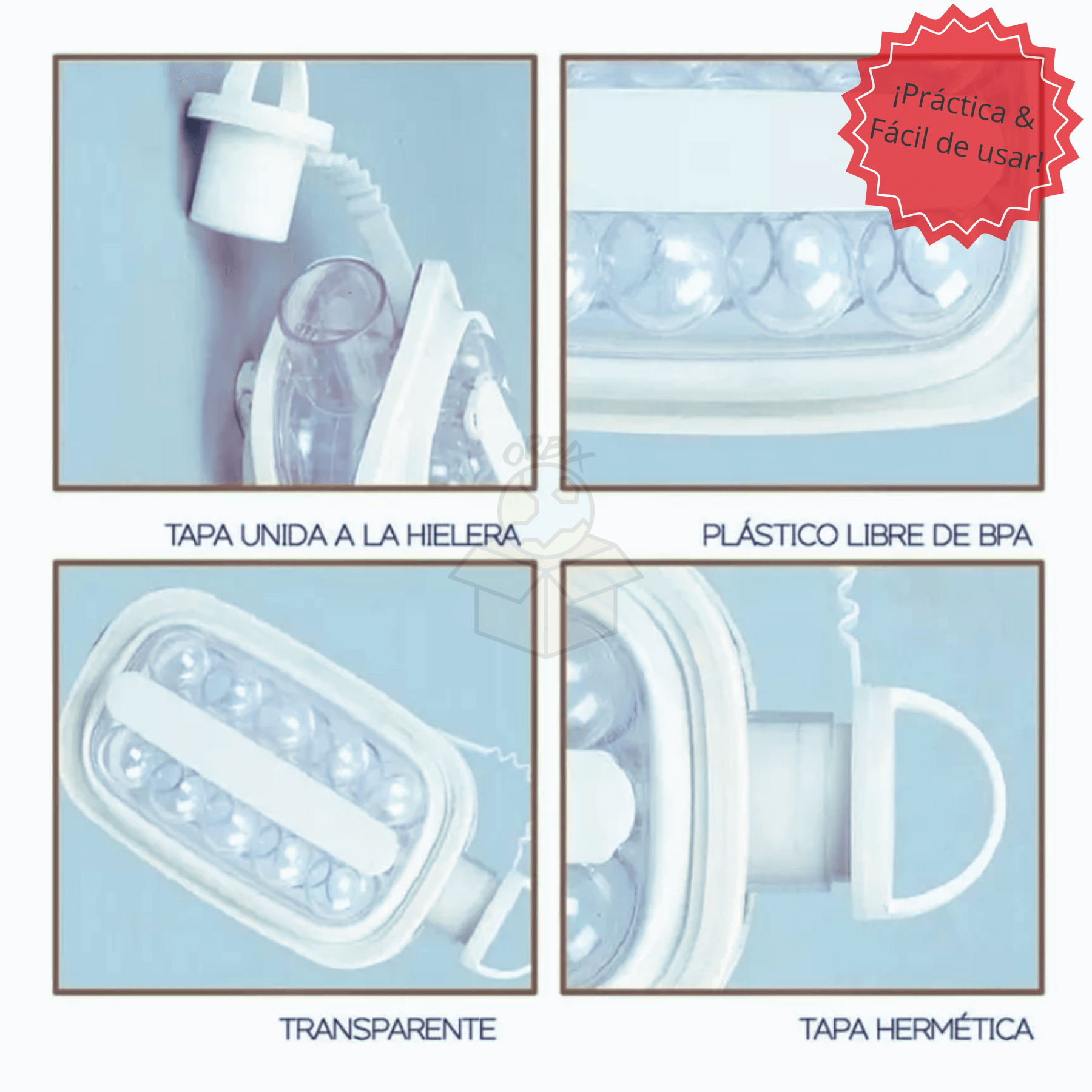 Botella Molde - Esferas De Hielo 🧊🍹